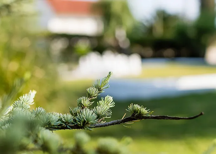 Casa Da Padeira - مزرعة للإقامة *